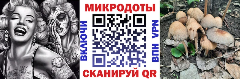 Псилоцибиновые грибы GOLDEN TEACHER  Купить  Долгопрудный 